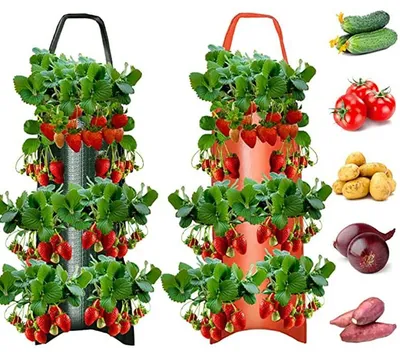 Imagen del producto de Bolsas para plantas - Transpirables, ideales para cultivos verticales - Paquete de 2 unidades