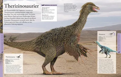 Obrázok produktu pre Dinosaurier und andere Tiere der Urzeit für clevere Kids