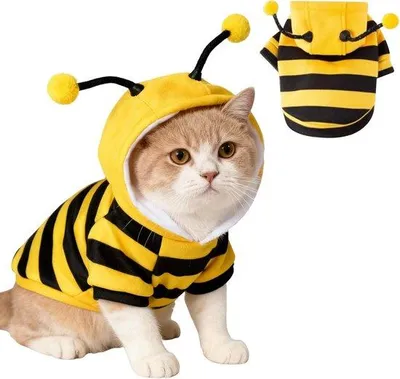 Produktbild von Kätzchen-Halloween-Kostüm - Gruselige Hundebienenkostüm - Kätzchen-Halloween-Outfit - Kostüm für Katzen und kleine Hunde