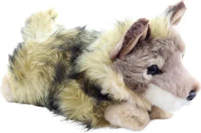 Produktbild von Uni-Toys - Wolfsjunges, liegend - 24 cm (Länge) - Plüsch-Wolf - Plüschtier, Kuscheltier