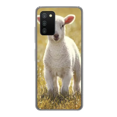 Produktbild von MuchoWow® Handyhülle Schutzhülle Hülle für Samsung Galaxy A03s Schafe - Gras - Sonne Silikon Softcase Handy Hülle - Schutz
