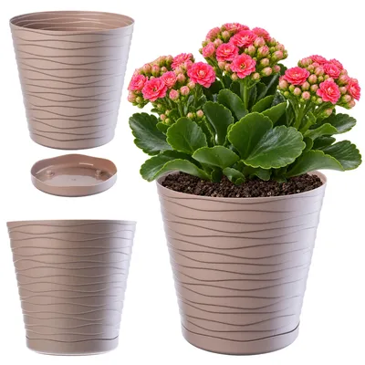 Imagen del producto de Macetas KADAX con platillo "Greve", macetero, maceta de plástico, maceta decorativa, redonda, 15 cm, color beige