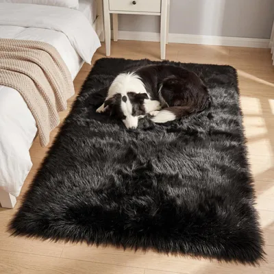 Obrázok produktu pre Omgoods – Nadýchaný, huňatý koberec do obývačky – umývateľný a mäkký (120 x 180 cm)