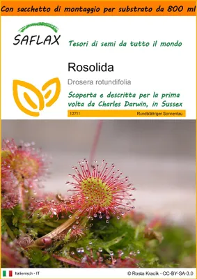 Immagine prodotto di SAFLAX Garden in the bag - Rosolida - 50 semi - Drosera