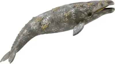 Immagine prodotto di Balena grigia Collecta - Collecta - Giocattoli educativi di alta qualità per bambini