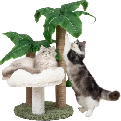 Produktbild von Katzenkratzbaum mit Liegefläche – Klimaboom für Katzen – Spielen und Ausruhen – Stabile Basis – 40 x 40 x 65 cm