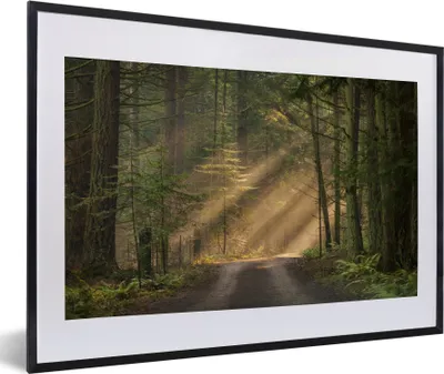 Produktbild von MuchoWow® MuchoWow® Gerahmtes Poster Wald - Baum - Weg 60x40 cm - Poster mit zchwarzem Bilderrahmen - Schlafzimmer - Plakat in Rahmen - Drucken