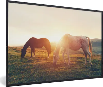 Produktbild von MuchoWow® Gerahmtes Poster Pferde - Sonne - Tiere 30x20 cm - Poster mit Schwarzem Bilderrahmen Wandposter Rahmen Foto Bilder - Kunstdruck - Bild-Poster