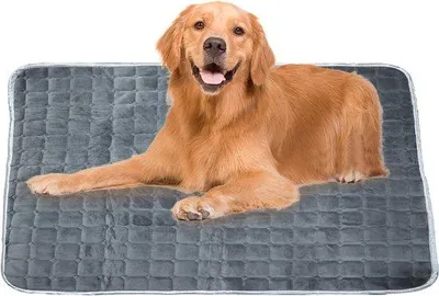 Obrázek produktu pro Samohřející deka pro zvířata, 100 x 110 cm, tmavě šedá, cestovní