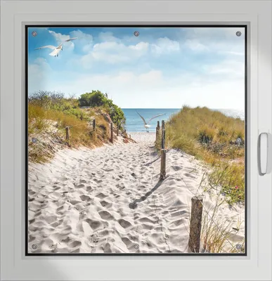 Produktbild von Wallario Lichtschutzbild, Dekorativer Sichtschutz Sonnenschutz 96 x 100 cm mit Motiv: Möwen auf dem Weg zum Strand - Verdunklung ohne Bohren