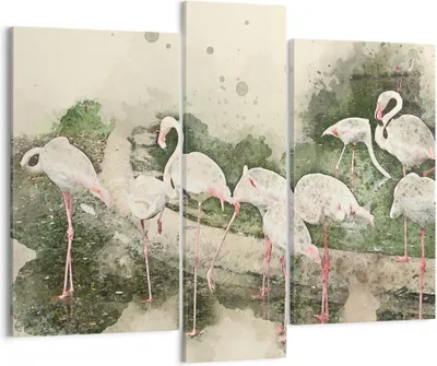 Produktbild von Bild auf Leinwand - Leinwandbild - Flamingo Vogel Wasser - 95x80cm - Wand Bild - Wanddeko - Leinwanddruck - Bilder - Kunstdruck - Wanddekoration - Leinwand bilder - Wandkunst - CB95x80-3462