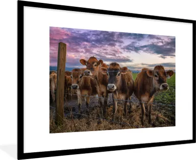 Produktbild von MuchoWow® MuchoWow® Gerahmtes Poster Kuh - Zaun - Himmel 90x60 cm - Poster mit zchwarzem Bilderrahmen - Wanddekoration - Fotos