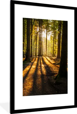Produktbild von MuchoWow® Gerahmtes Poster Sonne - Bäume - Wald - Landschaft - Natur 60x90 cm - Poster mit Schwarzem Bilderrahmen Wandposter Rahmen Foto Bilder - Dekoration - Wandposter Wohnzimmer - Hochwertig