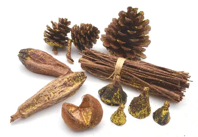 Produktbild von Natur-Deko Bastelmaterial Natur-Gold Set