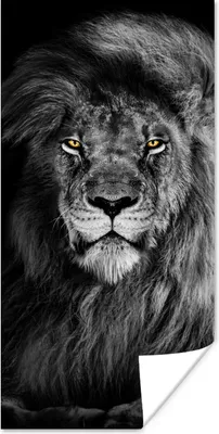 Produktbild von MuchoWow® Poster Löwe - Augen - Orange - Schwarz und weiß - Tiere - Porträt 80x160 cm - Kinderzimmer