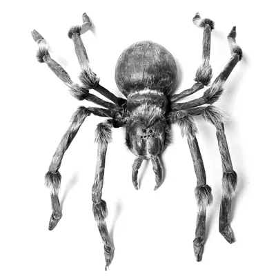Obrázok produktu pre EUROPALMS monster spider cca 130cm