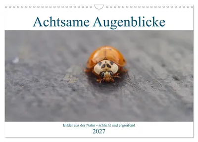 Produktbild von Achtsame Augenblicke (Wandkalender 2027 DIN A3 quer), CALVENDO Monatskalender