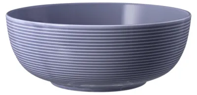 Produktbild von Seltmann Weiden Beat Fliederblau Foodbowl 20 cm