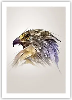 Produktbild von Poster - Poster ohne Rahmen - Adler Vogel Feder - 50x70 cm - Wand Bild - Wanddeko - Wandbilder - Kunstposter - Wandposter - Bilder - Kunstdruck - Wanddekoration - Wandbild - P2XPA50x70-3936