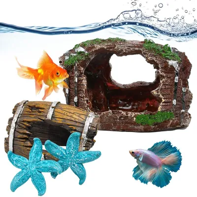 Productafbeelding van Aquariumdecoratie, Holletset met 2 Boomstam en 2 Zeesterren