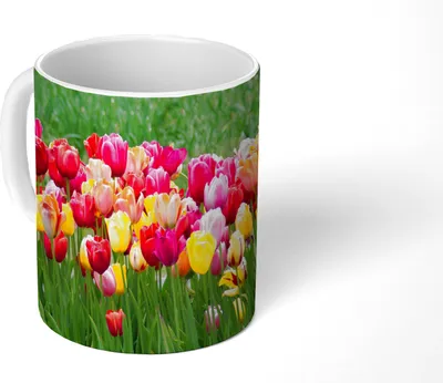 Produktbild von MuchoWow® Tasse Kaffeetasse Kaffeebecher 350 ml Ein Rundblick über die Tulpenfelder Teetasse - Fototasse - Becher - Keramikbecher - Teebecher - Kaffeetasse - Bürotasse