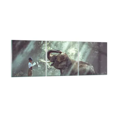 Produktbild von Bilder auf glas - Elefant Dschungel Stoßzahn - 90x30cm - Glasbilder - Wandbilder - Kunstdruck - zum Aufhängen bereit - Wanddekoration aus Glas - Glas Bilder - Wandbild auf Glas - GCA90x30-3486