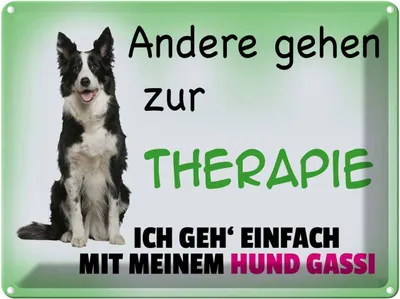 Produktbild von vianmo Blechschild 30x40 cm ich geh' mit meinem Hund Gassi