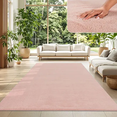 A living room with a pink rug, sofas, and plants.