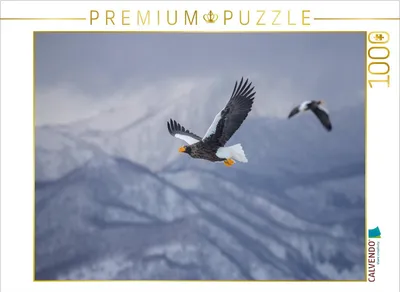 Produktbild von CALVENDO Puzzle Riesenseeadler 1000 Teile Puzzle quer | 1000 Teile Lege-Größe 64x48cm Foto-Puzzle für glückliche Stunden