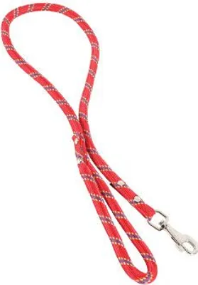 Image de Laisse pour chien nylon 13mm 1,2m rouge Zolux