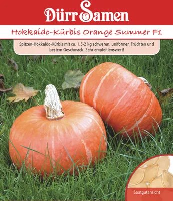 Produktbild von Hokkaido-Kürbis Sunshine F1 | Hokkaido-Kürbissamen von Dürr Samen