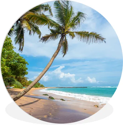Produktbild von MuchoWow® Rundes Wandbild - Runde Bilder Palme - Strand - Meer Ø 30 cm Kreis Wanddekoration Kunststoff - Wandkreis - Wandschmuck - Schlafzimmer - Bilder - Der Kreis - Kunst für die Wohnung - Plastik - Kunstdruck - Wandbild
