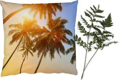 Produktbild von MuchoWow® Zierkissen Sofakissen Wohnzimmer Dekokissen 45x45 cm Palme - Sonne - Sommer - Tropisch - Schlafpolster - Polster für das Sofa