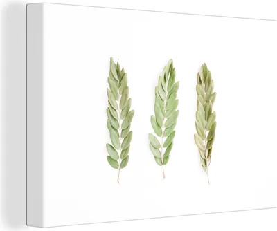 Produktbild von OneMillionCanvasses® - Leinwandbilder - 140x90 cm, Tropisch - Blatt - Weiß, Wandbilder Kunstdruck Wanddekoration