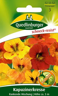 Produktbild von Quedlinburger Kapuzinerkresse Rankende Mischung - Blumensamen