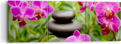 Produktbild von Bild auf Leinwand - Leinwandbild - Blumen Steine Bambus Dekoration - 90x30cm - Wand Bild - Wanddeko - Leinwanddruck - Bilder - Kunstdruck - Wanddekoration - Leinwand bilder - Wandkunst - CA90x30-2687