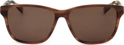 Produktbild von Ted Baker Sonnenbrille TB8232 151 56 14 145