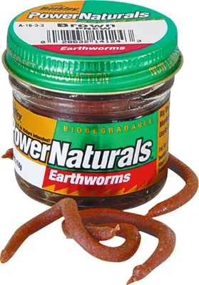 Obrázek produktu pro Berkley Soft Baits PowerNaturals Earthworms (žížala) Provedení: žížala; barva: hnědá