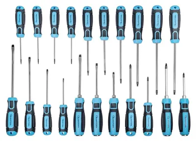 Immagine prodotto di QUANTOOL Q25021 Set di cacciaviti QUANTOOL, 21 pezzi, nero/blu