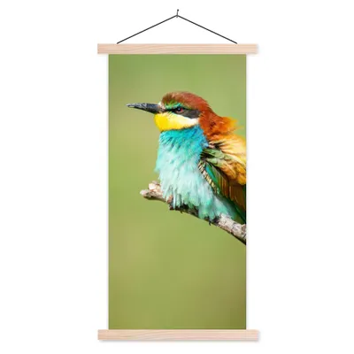 Produktbild von MuchoWow® Textilposter Vogel - Tiere - Bienenfresser 60x120 cm mit holzfarbenen Rahmen - Holz