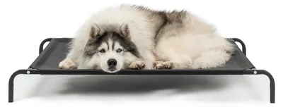 Produktbild von lionto Hundeliege, bequemes Outdoor Hundebett mit Netzgewebe, erhöht, luftig & wetterfest, 117x85 cm, schwarz