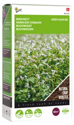 Produktbild von Gründünger Buchweizen (100 g) | Gründünger von Buzzy Seeds