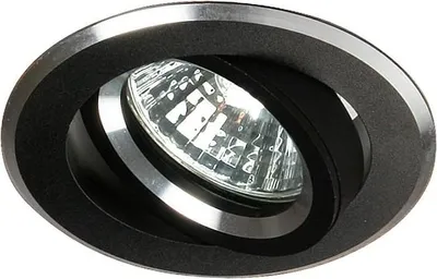 Image de Spot encastrable MINELIA - 1xGU5.3, MR16, 50 W, 8,2 cm, rond, noir