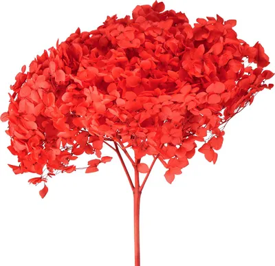 Produktbild von Dekorative Hortensie Konserviert Trockengesteck für elegante Raumgestaltung