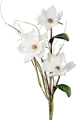 Produktbild von künstliche Magnolie FOAM FLOWER weiß H. 105cm Formano Kunstblumen