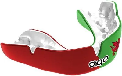 Productafbeelding van Famanu mondmasker voor sport - Wales - voor volwassenen