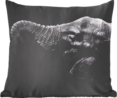 Produktbild von MuchoWow® Zierkissen Sofakissen Wohnzimmer Dekokissen 45x45 cm Elefant - Tiere - Schwarz - Natur - Schlafpolster - Polster für das Sofa