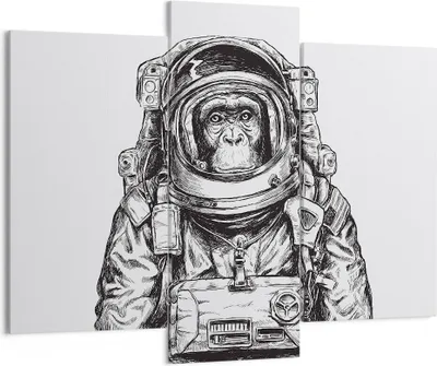 Produktbild von Bild auf Leinwand - Leinwandbild - 3 Teile - Schimpanse Astronaut Zeichnung - 130x100cm - Wand Bild - Wanddeko - Wandbilder - Leinwanddruck - Bilder - Wanddekoration - Leinwand bilder - CB130x100-4312