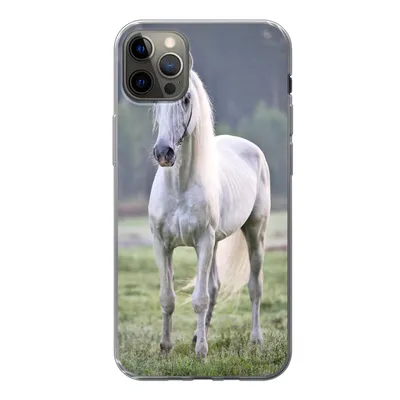 Produktbild von MuchoWow® Handyhülle Schutzhülle Hülle für iPhone 13 Pro Max Pferd - Licht - Morgen Silikon Softcase Handy Hülle - Mobiltelefon