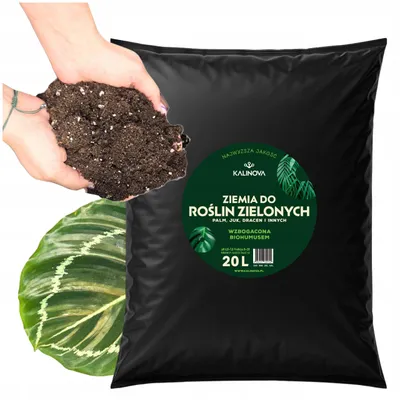 Image de Terreau plantes vertes 20 l - Haute qualité - Riche en éléments nutritifs - Pour jardin et balcon - Terreau plantes - Plantes vertes - Terreau palmiers